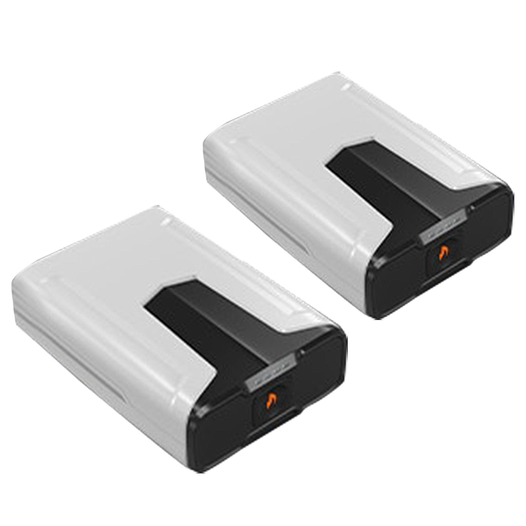 LITHIUM-ION BATTERY 2-PACK